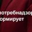 Роспотребнадзор по Тульской области сообщает об ограничении приема посетителей - Светлый Путь